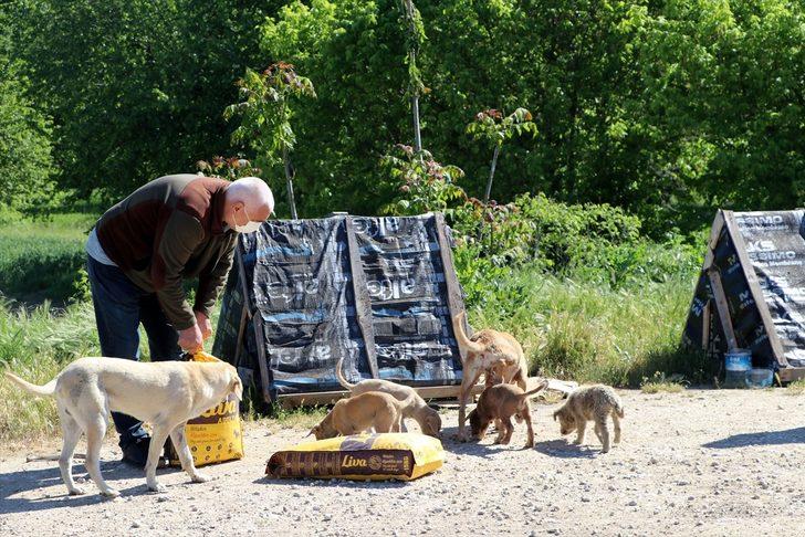 Edirne'de "tam kapanma" sürecinde sokak hayvanlarına 5 ton mama dağıtıldı G2