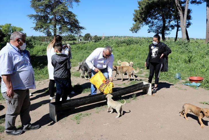 Edirne'de "tam kapanma" sürecinde sokak hayvanlarına 5 ton mama dağıtıldı G3