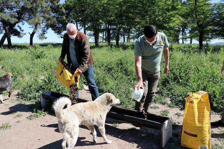 Edirne'de "tam kapanma" sürecinde sokak hayvanlarına 5 ton mama dağıtıldı G5