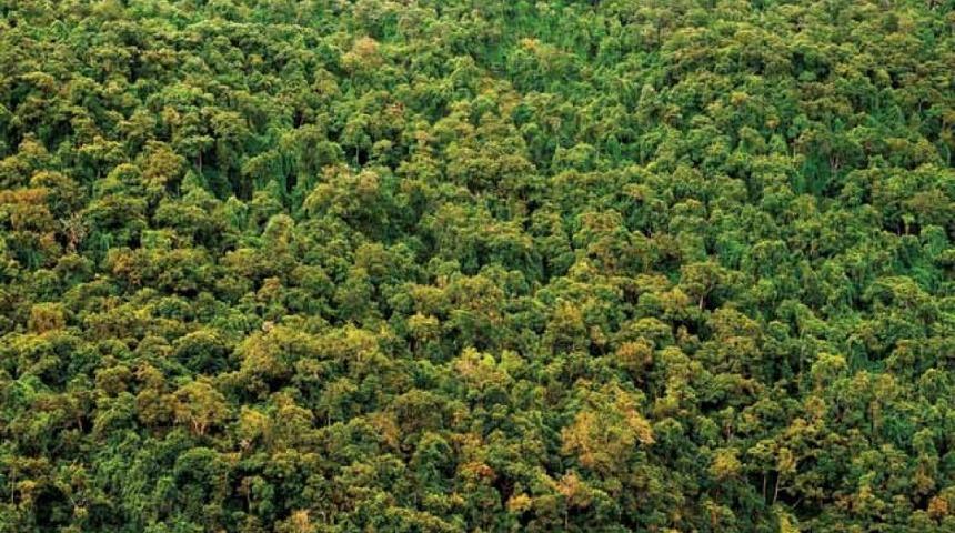 Sevindiren gelişme! Son 20 yılda Fransa kadar büyüdü