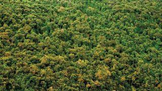Sevindiren gelişme! Son 20 yılda Fransa kadar büyüdü