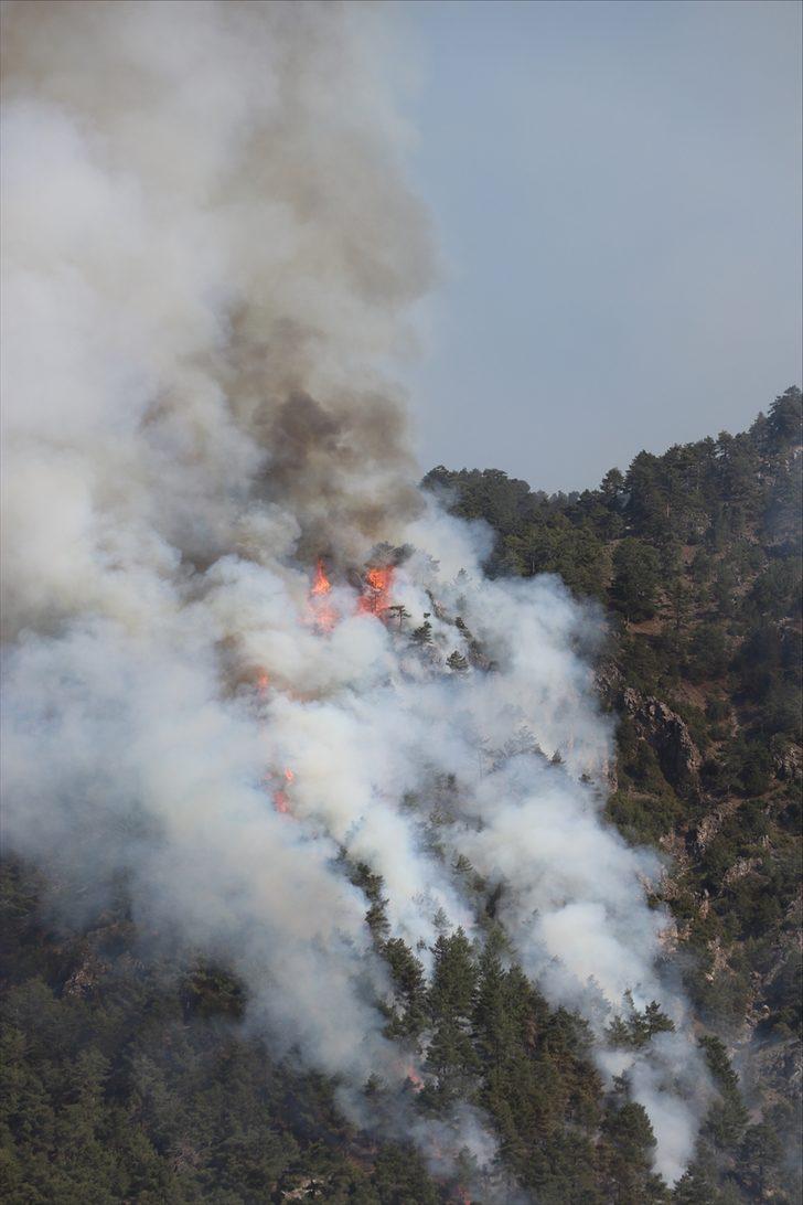 GÜNCELLEME-  Denizli'de orman yangını çıktı G1