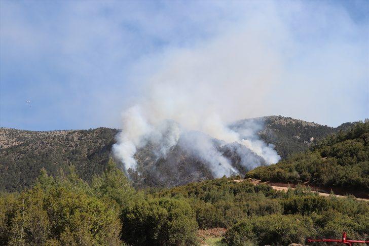 GÜNCELLEME-  Denizli'de orman yangını çıktı G2