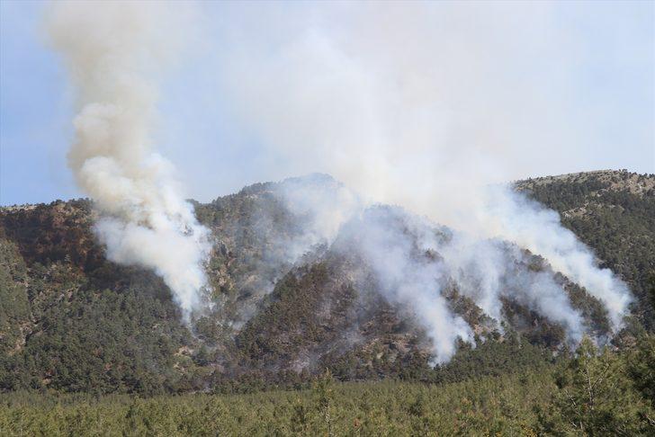 GÜNCELLEME-  Denizli'de orman yangını çıktı G5