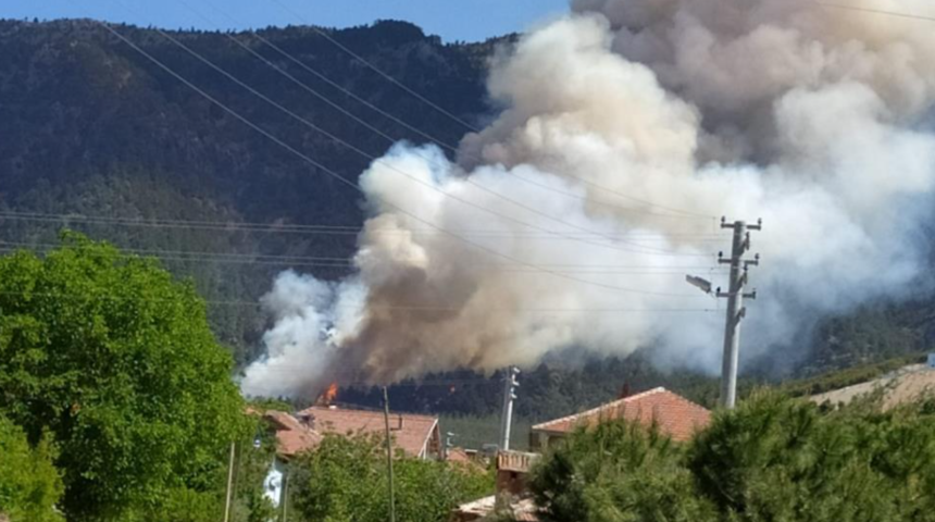Denizli'de korkutan orman yangını: 2 kişi gözaltına alındı