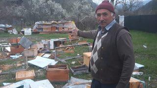 Karabük'te ayılar arı kovanlarını parçaladı