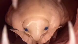 Bir ilk! Yakaladığı balığın ağzını açtı, dehşete düştü