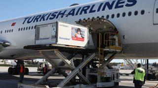 Sağlık Bakanlığı duyurdu: CoronaVac aşısının yeni partisi Türkiye'ye geldi