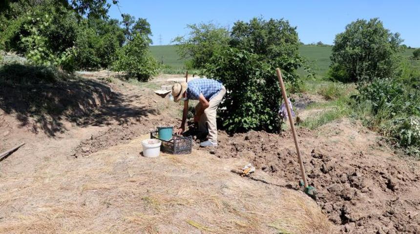 Mucize bitki safranda soğan hasadı başladı