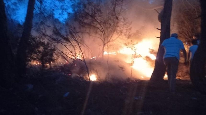 Bodrum'da zabıtanın fark ettiği orman yangını söndürüldü