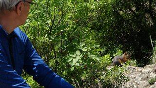 Sincapla ormandaki randevusuna 3 yıl boyunca bir gün bile geç kalmadı