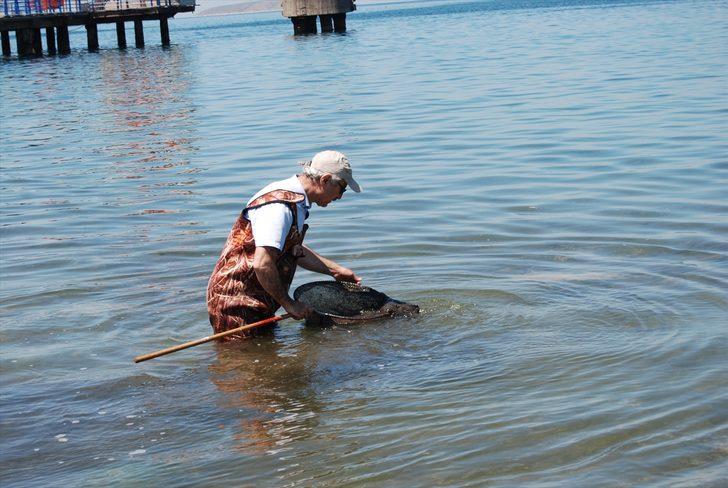 Marmara'da oluşan deniz salyası balık popülasyonunu tehdit ediyor G1