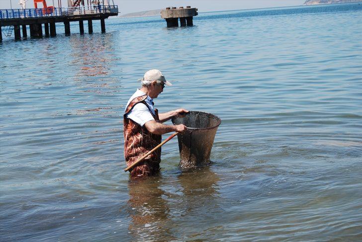Marmara'da oluşan deniz salyası balık popülasyonunu tehdit ediyor G3
