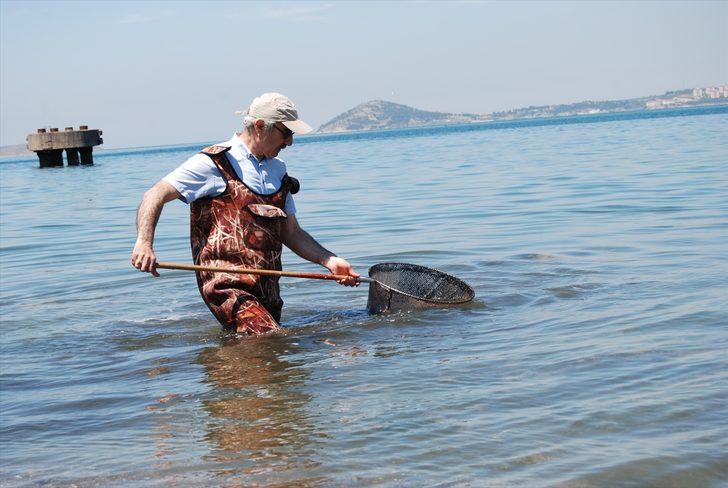 Marmara'da oluşan deniz salyası balık popülasyonunu tehdit ediyor G4