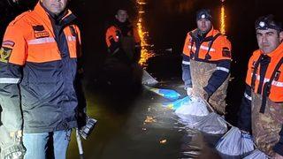 Van'da kaçak avlanılan 7 ton 650 kilogram inci kefali ele geçirildi