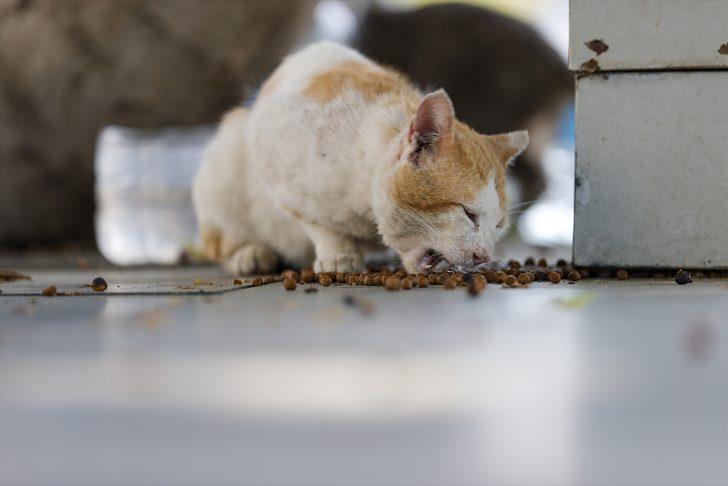 Turizm merkezleri Antalya ve Muğla'da bayramda da "tam kapanma" sessizliği sürüyor G5