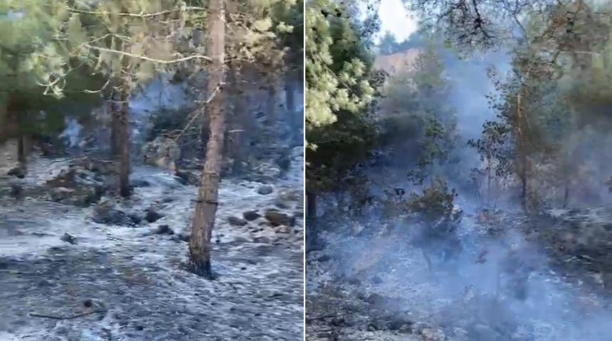 Denizli'de hareketli saatler! Anonsu duyan yangına koştu