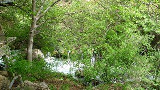 Adana’nın gizli doğa cenneti ‘Pağnık’ görenleri kendisine hayran bırakıyor