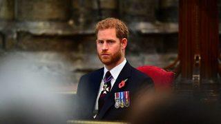 Prens Harry ipleri kopardı: Hayvanat bahçesi gibi