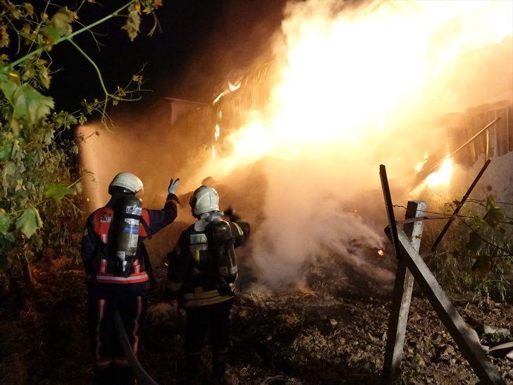 GÜNCELLEME - Manisa'da besi çiftliğinde çıkan yangın 9 saatlik müdahaleyle söndürüldü G5