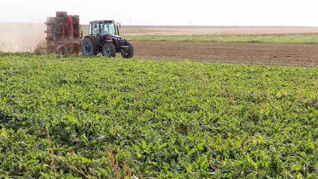 Alkışlı-yorum: Dünya Çiftçiler Günü