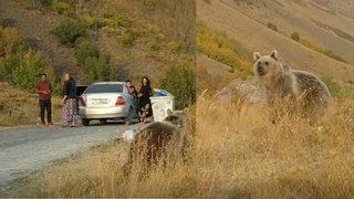 Nemrut Krater Gölü yakınlarındaki ayılarla ilgili uyarı