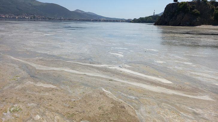 Gemlik Körfezi'ndeki deniz salyasının temizlenmesi için çalışma başlatıldı G2
