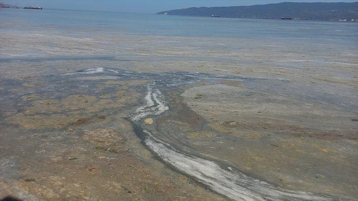 Gemlik Körfezi'ndeki deniz salyasının temizlenmesi için çalışma başlatıldı G3
