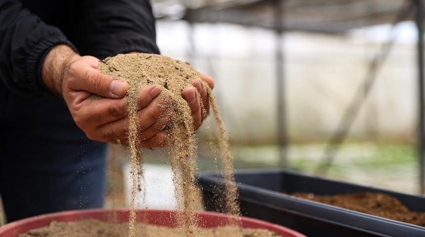 Balkonda sebze yetiştirmeye ilgi arttı, en fazla rağbet çileğe