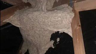 Tavan arasında gördüğü şey dehşete düşürdü: Büyüyü bozman lazım