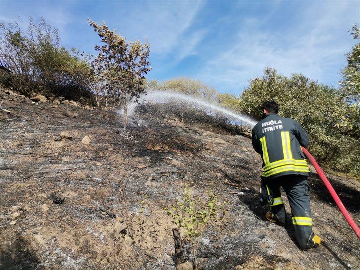Muğla'da zeytinlik ve makilik alanda çıkan yangın söndürüldü G1
