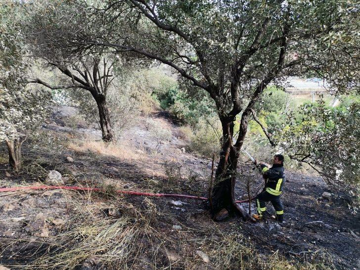 Muğla'da zeytinlik ve makilik alanda çıkan yangın söndürüldü G2