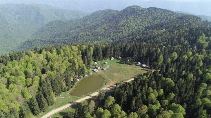 Batı Karadeniz yaylaları "tam kapanma" sonrası ziyaretçilerini bekliyor G1