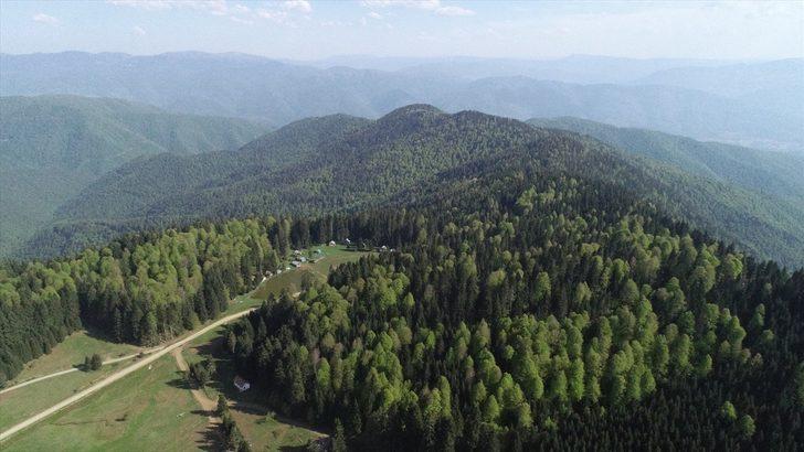 Batı Karadeniz yaylaları "tam kapanma" sonrası ziyaretçilerini bekliyor G3