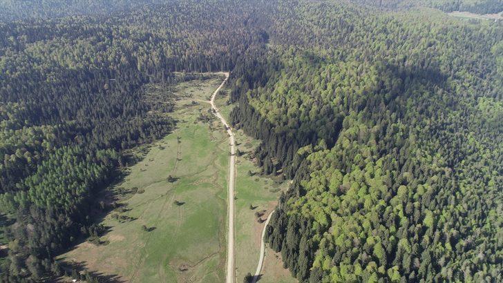 Batı Karadeniz yaylaları "tam kapanma" sonrası ziyaretçilerini bekliyor G4