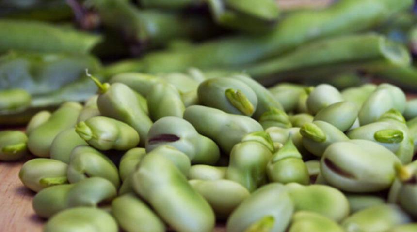 Koronavirüse karşı bağışıklığı güçlendiriyor ancak baklayı susam yağı ile pişirirseniz