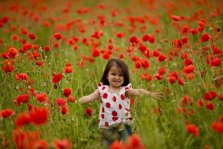 Düzce'de tarlaları kırmızıya boyayan gelincik çiçekleri şenliği G4