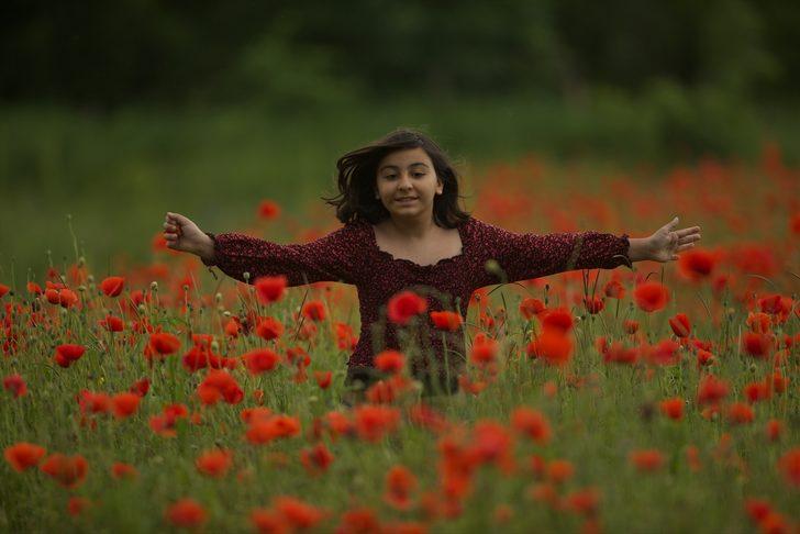 Düzce'de tarlaları kırmızıya boyayan gelincik çiçekleri şenliği G5