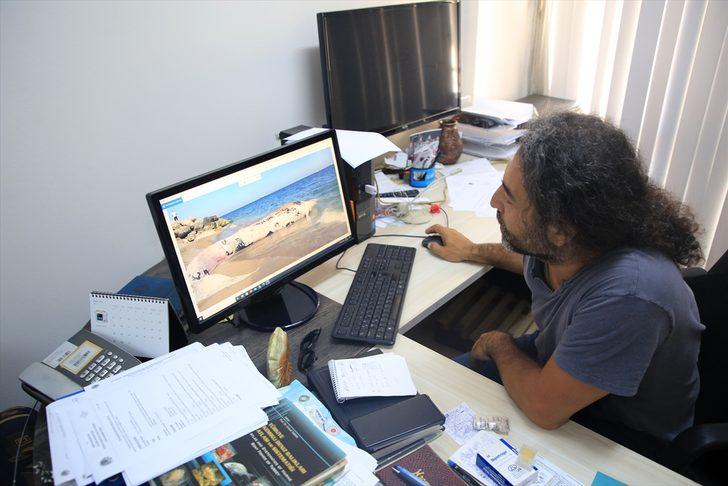 Mersin sahiline vuran balinanın nekropsi işlemleri tamamlandı G2