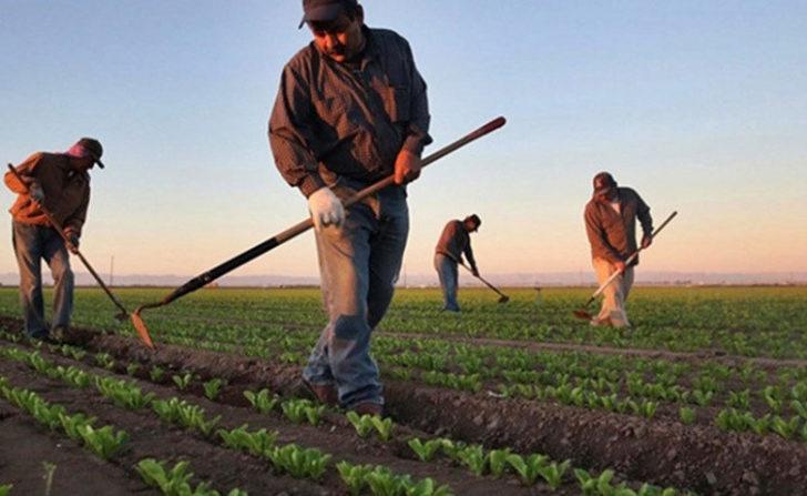 Sigortası olmayan çiftçilere kuraklık desteği verilecek