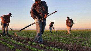 Bakan Yardımcısı Alpkan'dan pestisit uyarısı