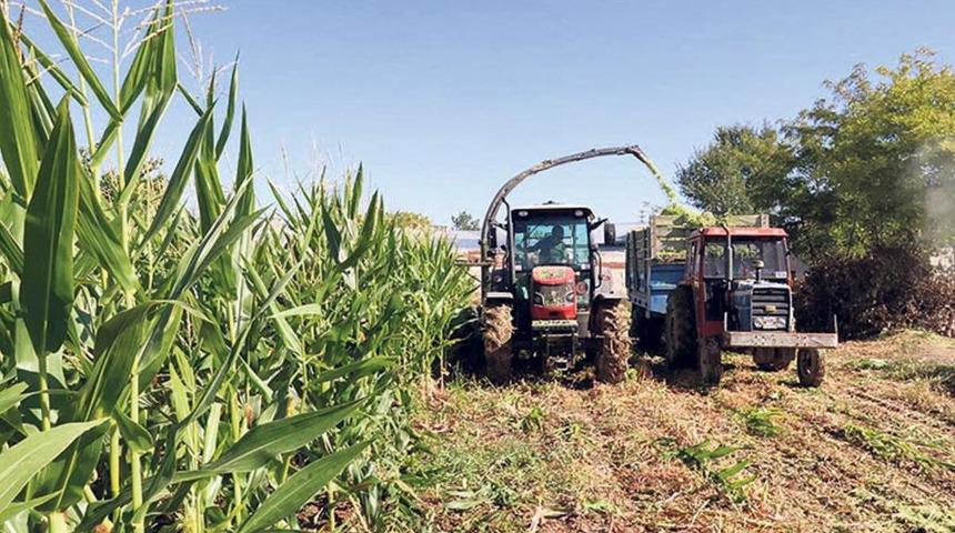 Çiftçilere kuraklık desteği! Dekar başına 30 ila 100 lira arası ödeme