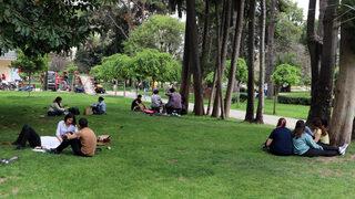 Hayati uyarı! Kene ısırmasında, akrep ve yılan sokmasında bunları yapmayın