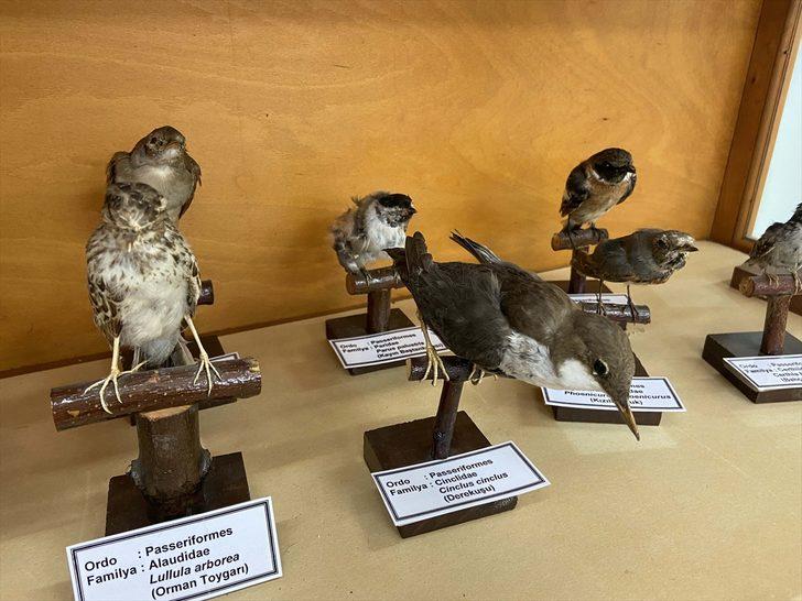 Trakya Üniversitesi Doğa ve Tarih Müzesi bu yıl kapılarını açacak G2