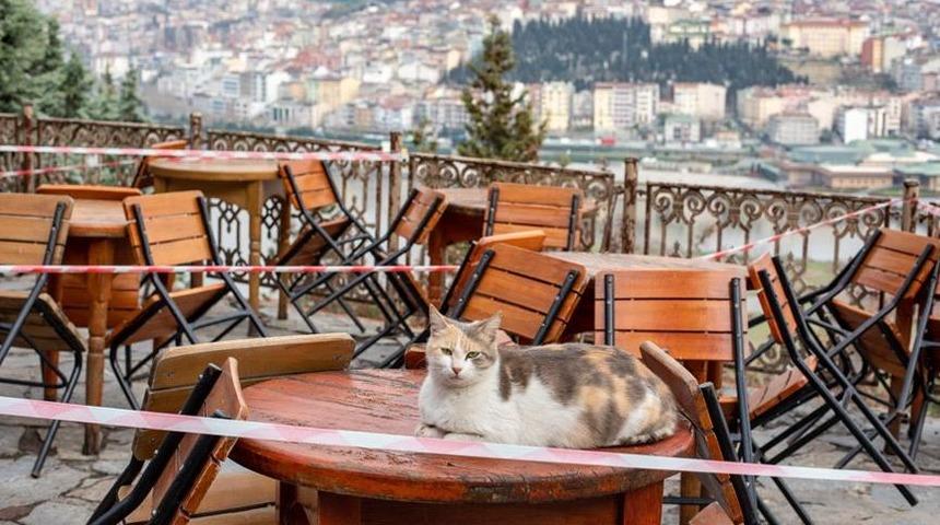 Kahvehane, kafe ve çay bahçelerine 5 bin TL ne zaman verilecek? 5 bin TL hibe desteği şartları  