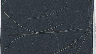 Efsane şarkıcı Kurt Cobain’in saç telleri 14 bin dolara satıldı