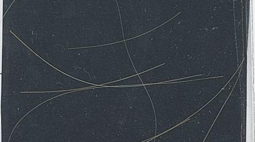 Efsane şarkıcı Kurt Cobain’in saç telleri 14 bin dolara satıldı