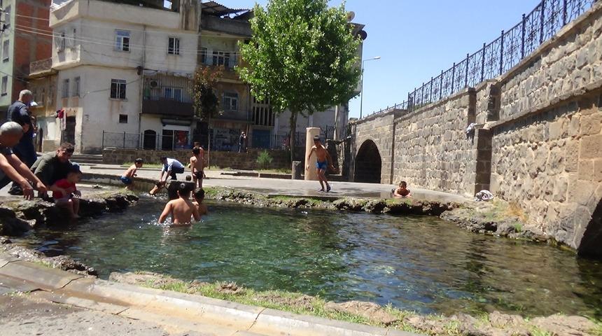 Sıcaktan bunalan süs havuzuna koştu! 