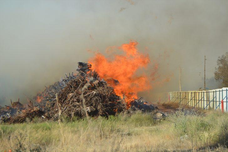 GÜNCELLEME- Afyonkarahisar'da biyokütle enerji santralinde yangın çıktı G1