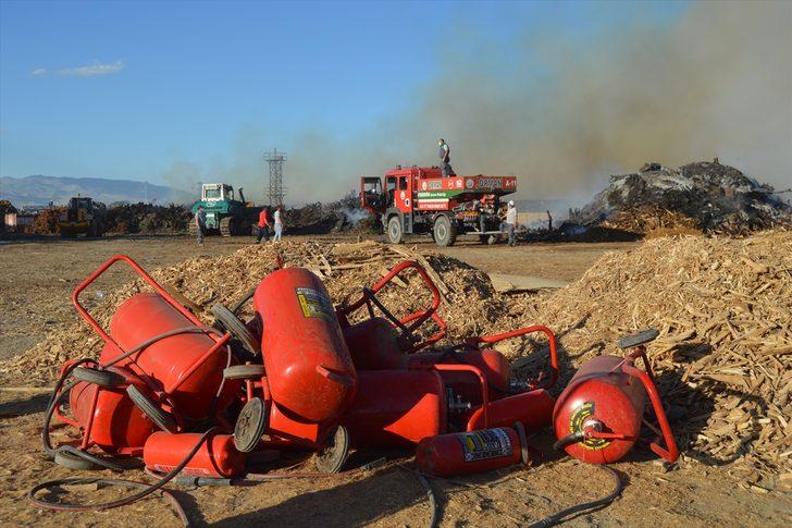 GÜNCELLEME- Afyonkarahisar'da biyokütle enerji santralinde yangın çıktı G3